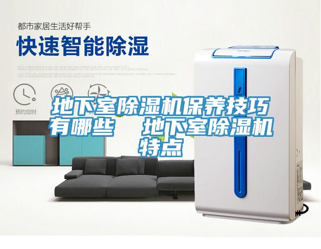地下室91免费网站在线观看保养技巧有哪些  地下室91免费网站在线观看特点