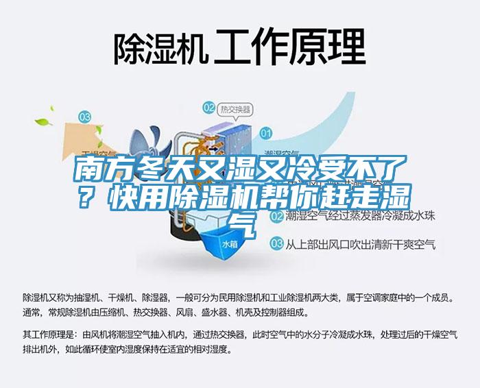 南方冬天又湿又冷受不了？快用91免费网站在线观看帮你赶走湿气