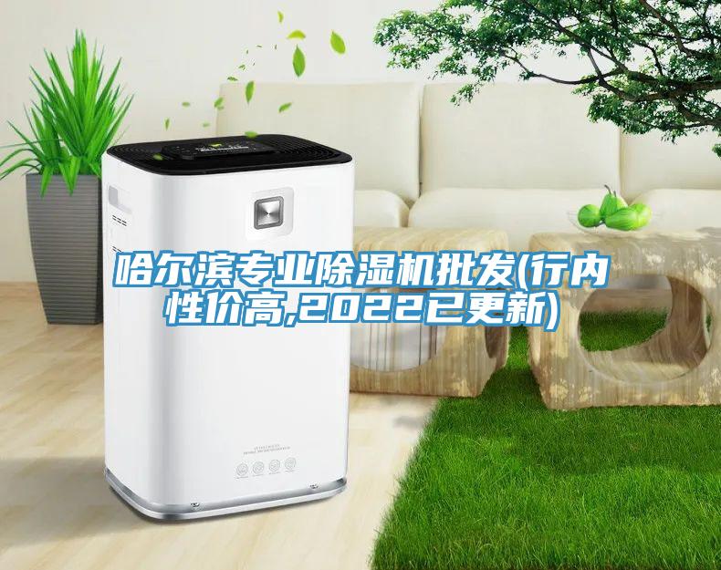 哈尔滨专业91免费网站在线观看批发(行内性价高,2022已更新)