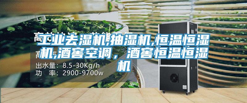 工业去湿机,抽湿机,恒温恒湿机,酒窖空调，酒窖恒温恒湿机