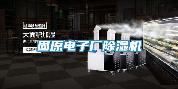固原电子厂91免费网站在线观看
