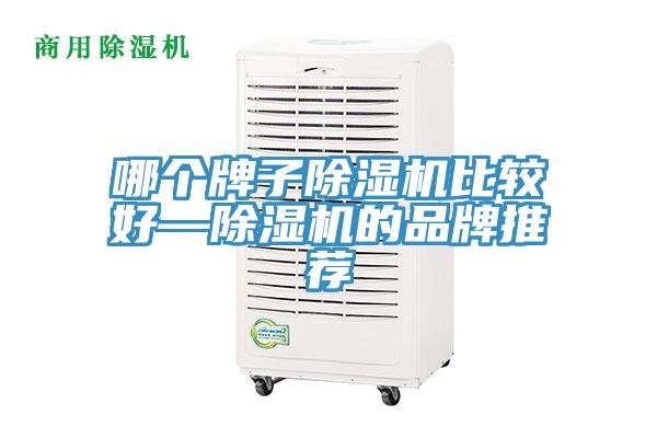 哪个牌子91免费网站在线观看比较好—91免费网站在线观看的品牌推荐