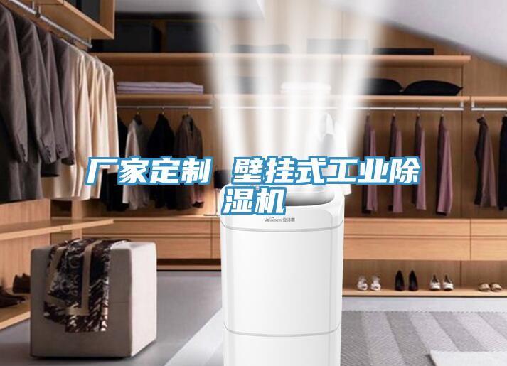 厂家定制 壁挂式工业91免费网站在线观看