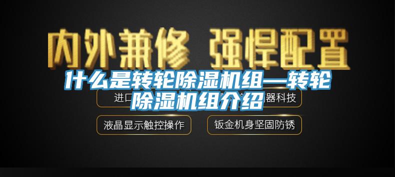什么是转轮91免费网站在线观看组—转轮91免费网站在线观看组介绍