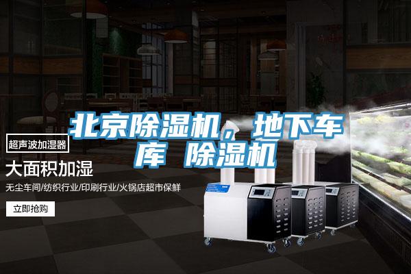 北京91免费网站在线观看，地下车库 91免费网站在线观看