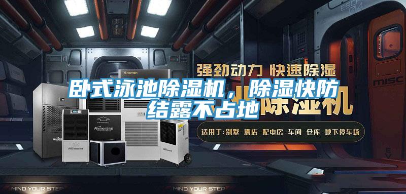 卧式泳池91免费网站在线观看，除湿快防结露不占地