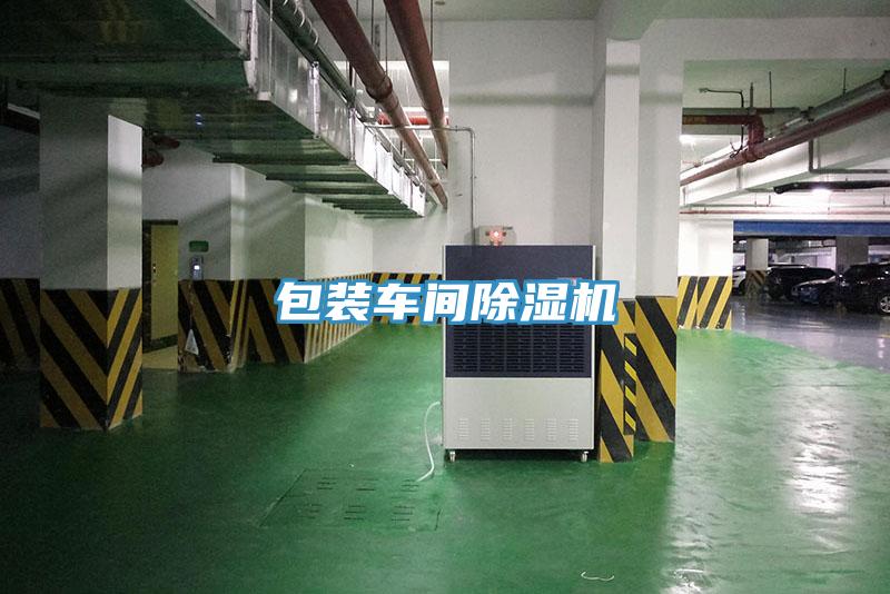 包装车间91免费网站在线观看