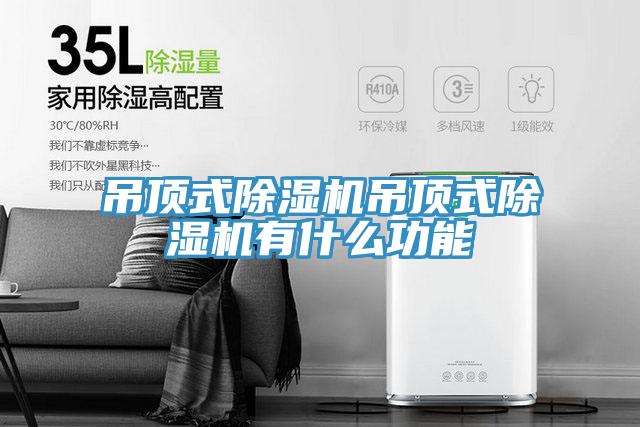 吊顶式91免费网站在线观看吊顶式91免费网站在线观看有什么功能