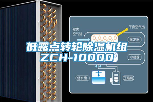 低露点转轮91免费网站在线观看组ZCH-10000
