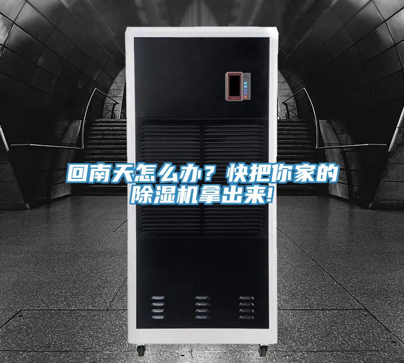 回南天怎么办？快把你家的91免费网站在线观看拿出来!