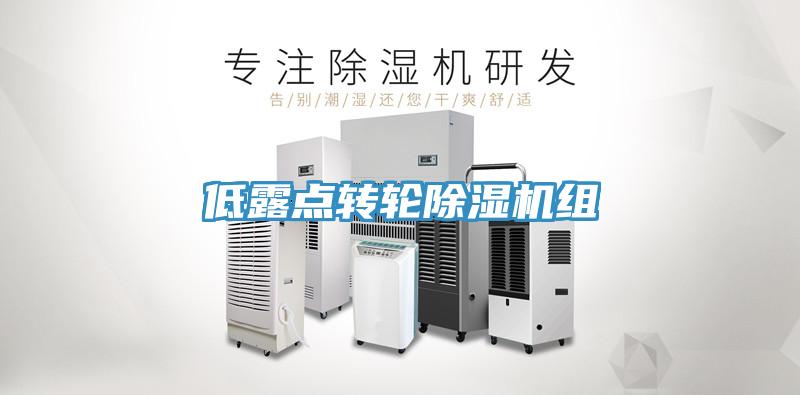 低露点转轮91免费网站在线观看组