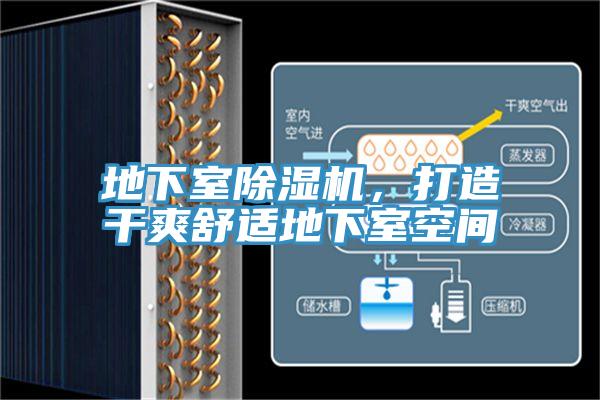 地下室91免费网站在线观看，打造干爽舒适地下室空间