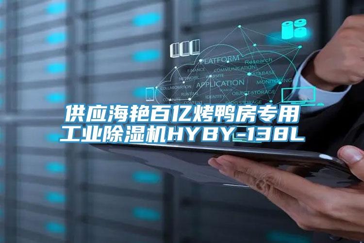 供应海艳百亿烤鸭房专用工业91免费网站在线观看HYBY-138L