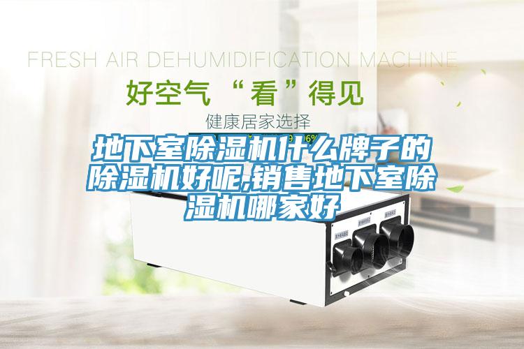 地下室91免费网站在线观看什么牌子的91免费网站在线观看好呢,销售地下室91免费网站在线观看哪家好