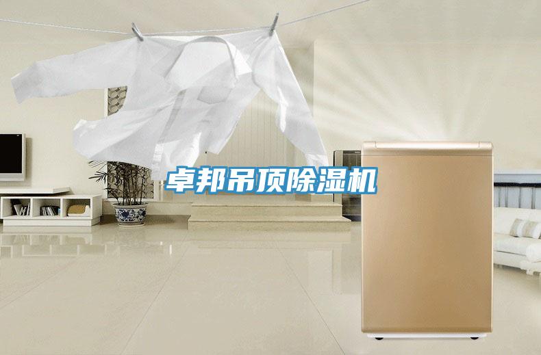 卓邦吊顶91免费网站在线观看