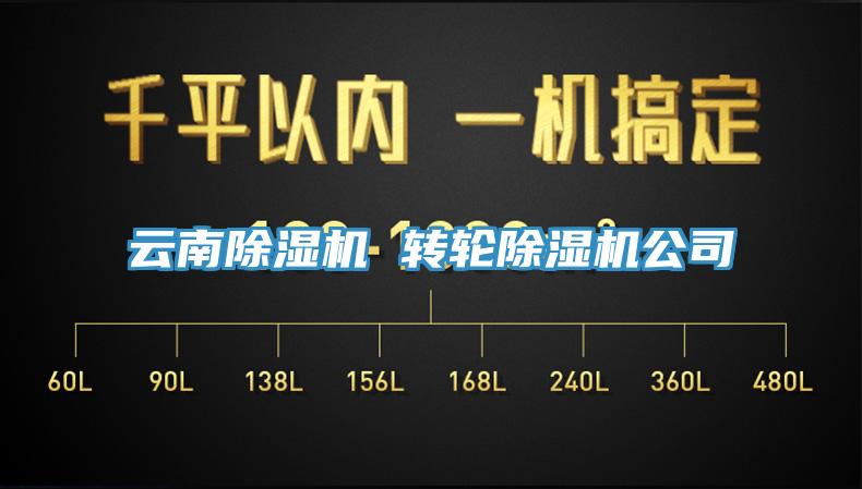 云南91免费网站在线观看 转轮91免费网站在线观看公司
