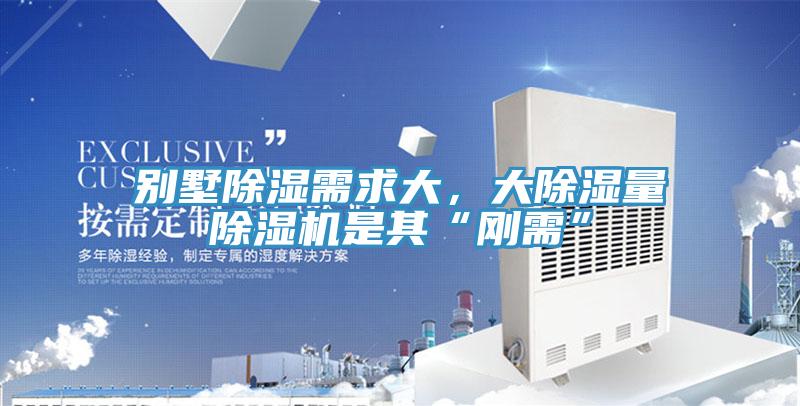 别墅除湿需求大，大除湿量91免费网站在线观看是其“刚需”