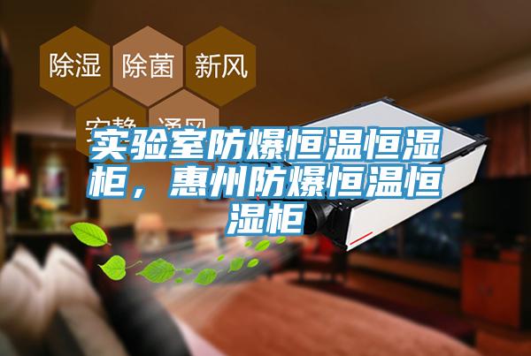 实验室防爆恒温恒湿柜，惠州防爆恒温恒湿柜