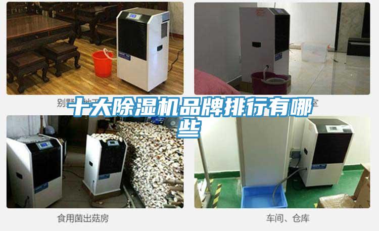 十大91免费网站在线观看品牌排行有哪些