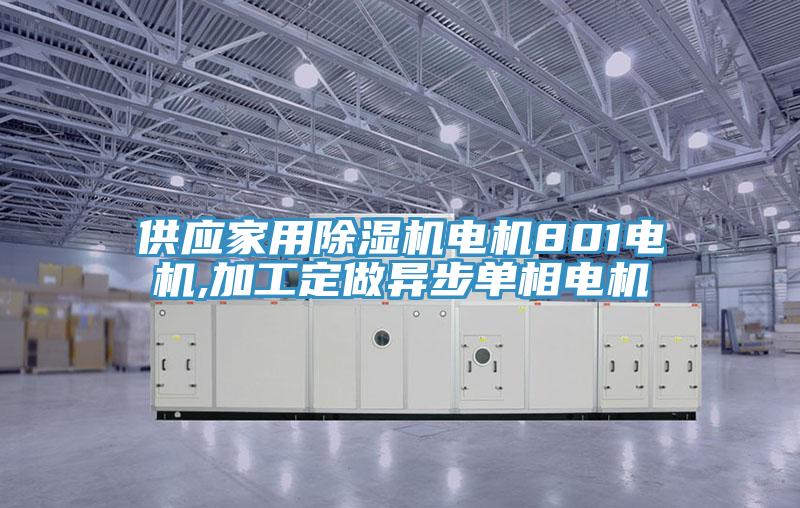 供应家用91免费网站在线观看电机801电机,加工定做异步单相电机
