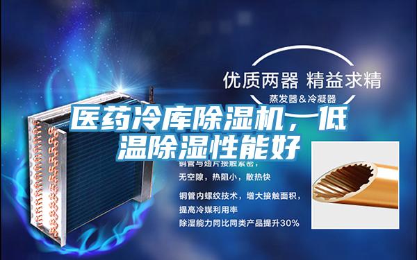 医药冷库91免费网站在线观看，低温除湿性能好