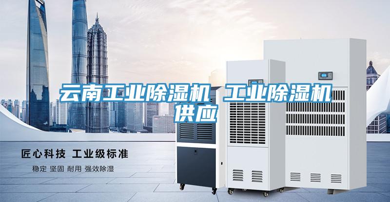 云南工业91免费网站在线观看 工业91免费网站在线观看供应