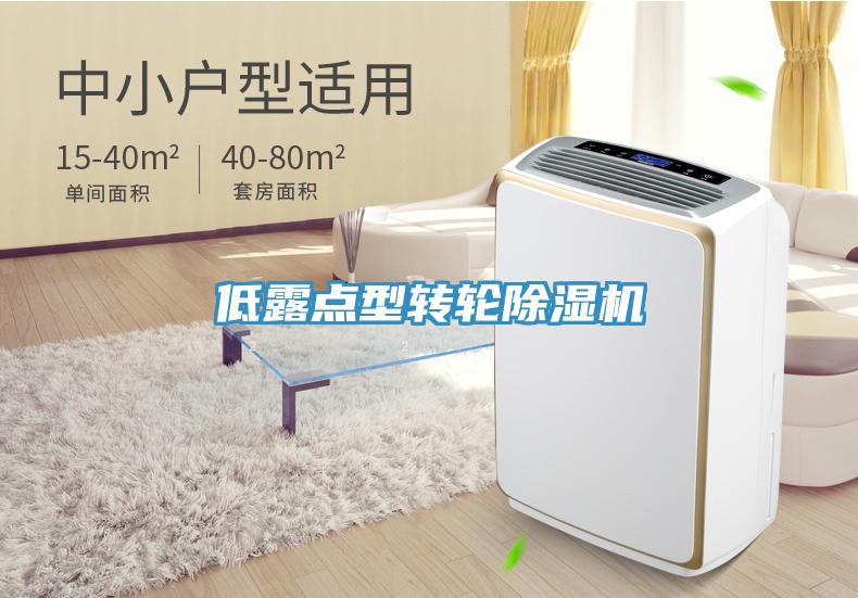 低露点型转轮91免费网站在线观看