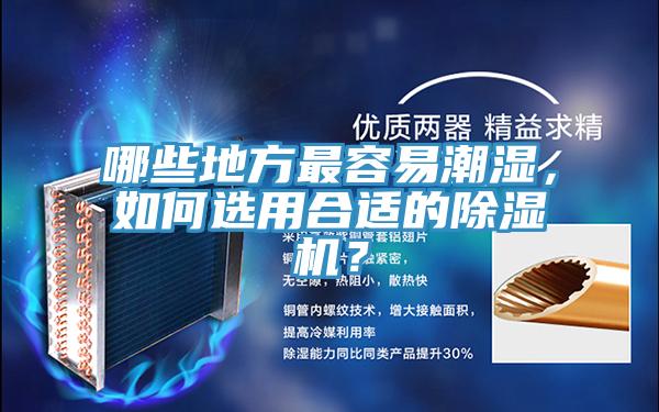 哪些地方最容易潮湿，如何选用合适的91免费网站在线观看？