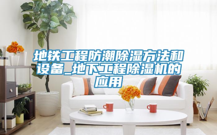 地铁工程防潮除湿方法和设备_地下工程91免费网站在线观看的应用