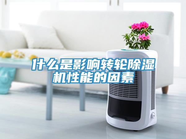 什么是影响转轮91免费网站在线观看性能的因素