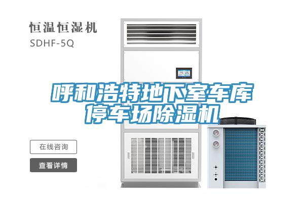 呼和浩特地下室车库停车场91免费网站在线观看