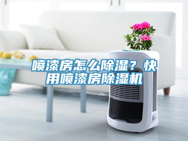喷漆房怎么除湿？快用喷漆房91免费网站在线观看