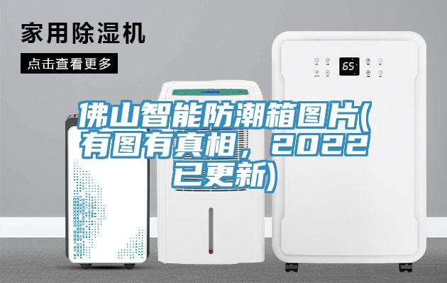 佛山智能防潮箱图片(有图有真相，2022已更新)