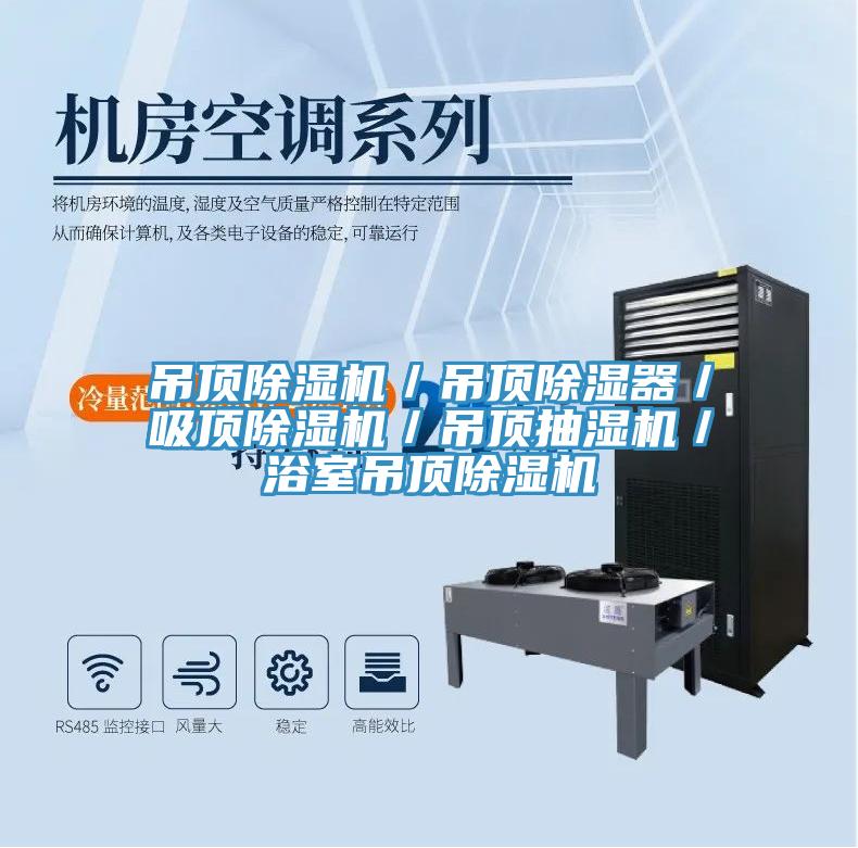 吊顶91免费网站在线观看／吊顶除湿器／吸顶91免费网站在线观看／吊顶抽湿机／浴室吊顶91免费网站在线观看