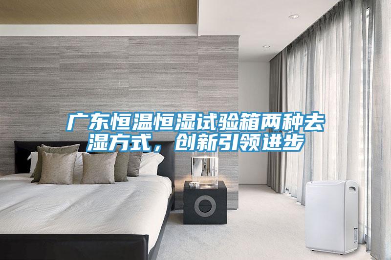 广东恒温恒湿试验箱两种去湿方式，创新引领进步