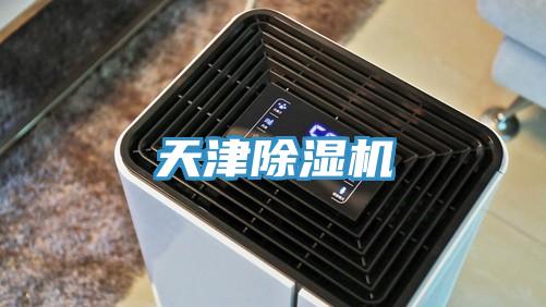 天津91免费网站在线观看