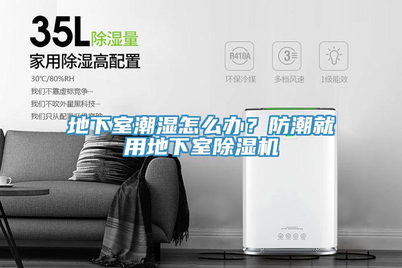 地下室潮湿怎么办？防潮就用地下室91免费网站在线观看
