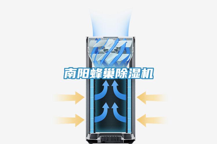 南阳蜂巢91免费网站在线观看