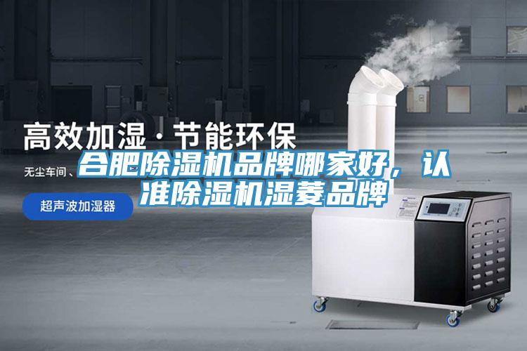 合肥91免费网站在线观看品牌哪家好，认准91免费网站在线观看湿菱品牌