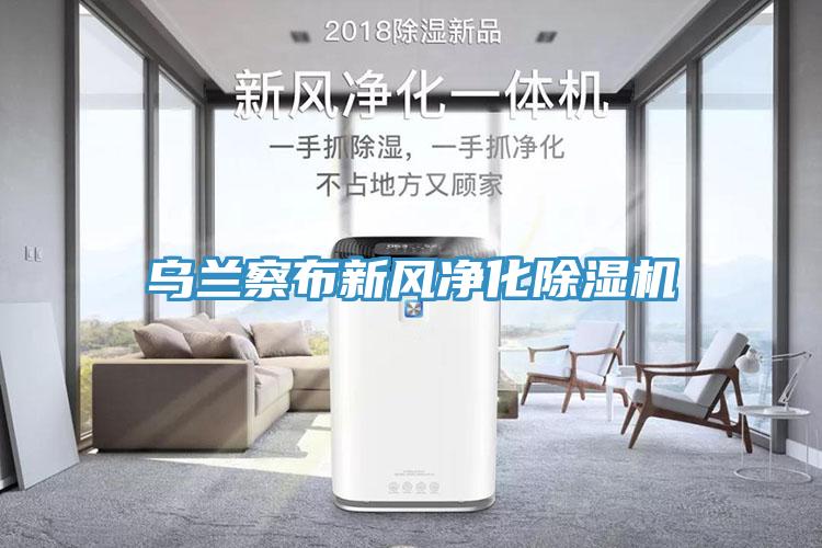 乌兰察布新风净化91免费网站在线观看