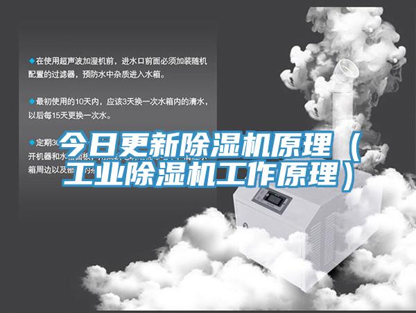 今日更新91免费网站在线观看原理（工业91免费网站在线观看工作原理）