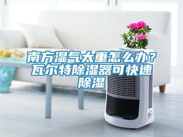 南方湿气太重怎么办？瓦尔特除湿器可快速除湿