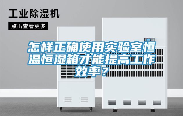 怎样正确使用实验室恒温恒湿箱才能提高工作效率？