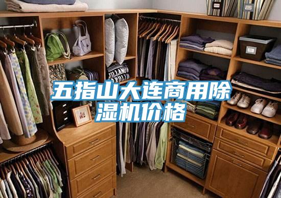 五指山大连商用91免费网站在线观看价格