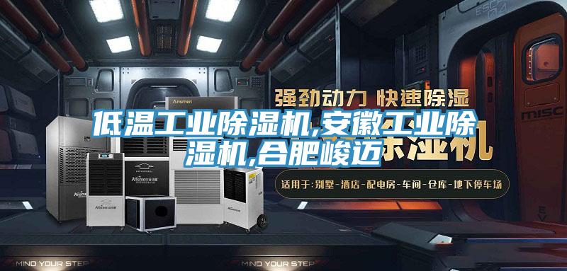 低温工业91免费网站在线观看,安徽工业91免费网站在线观看,合肥峻迈