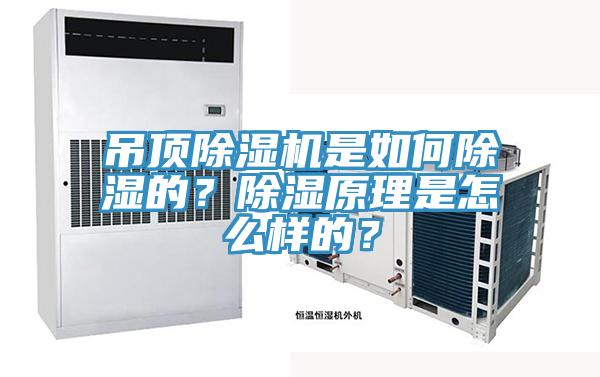 吊顶91免费网站在线观看是如何除湿的？除湿原理是怎么样的？