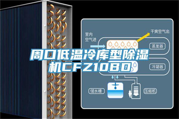 周口低温冷库型91免费网站在线观看CFZ10BD