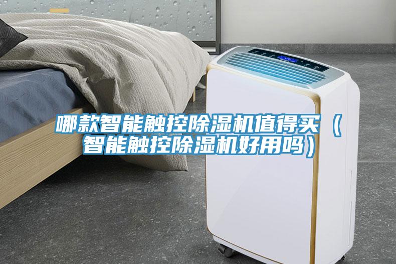 哪款智能触控91免费网站在线观看值得买（智能触控91免费网站在线观看好用吗）