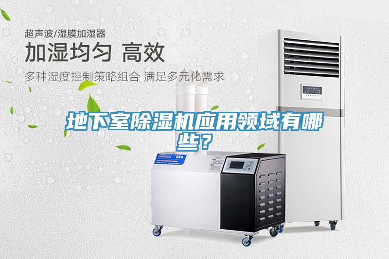 地下室91免费网站在线观看应用领域有哪些？