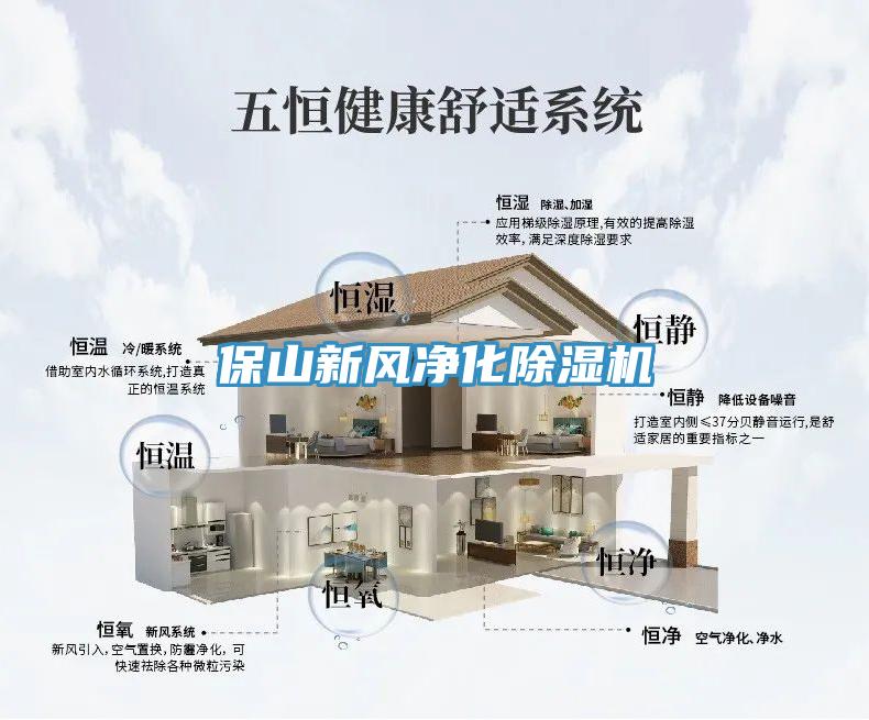 保山新风净化91免费网站在线观看